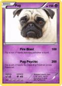 Pug