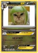 battle cat