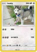 husky