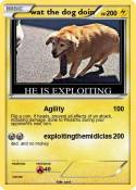 wat the dog