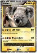 Koala