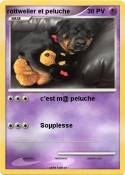 rottweiler et