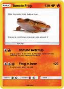 Tomato Frog