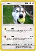 dog