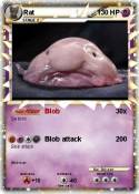 Rat
