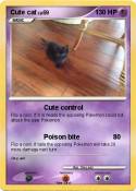 Cute cat