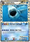 requin blanc