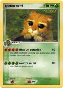 chaton mimi