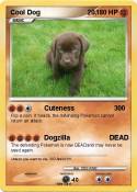 Cool Dog 20,