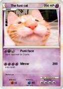 The funi cat
