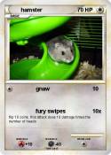 hamster