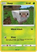 Sheep