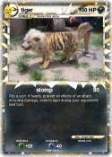 tiger
