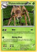 Phylum Arthropo