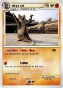 ninja cat