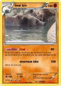 bear bro