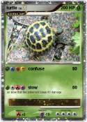 turtle