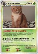 Cat Champion