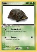 Turtle