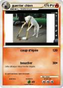 guerrier chien