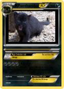 Pantherchu