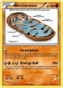 Mitochondrion