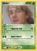 Sander