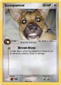 Scootpawtoot