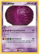 red cabbage