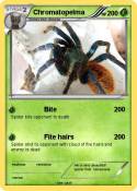 Chromatopelma