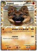 brigand