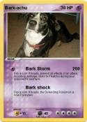 Bark-achu