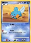 Mudkip
