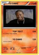 YO DAWG