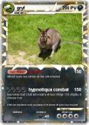gryf