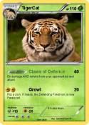 TigerCat