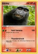 monkey