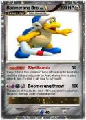 Boomerang Bro