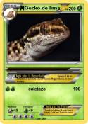 Gecko de lima