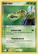Bush Viper