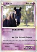 Horse