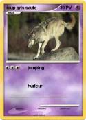 loup gris saute