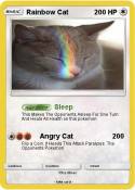 Rainbow Cat