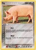 Pig