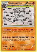 GREG HEFFLY