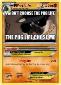 Pug Life