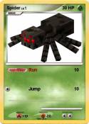 Spider
