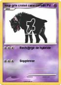 loup gris