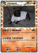 Chientueur