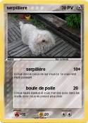 serpilliere